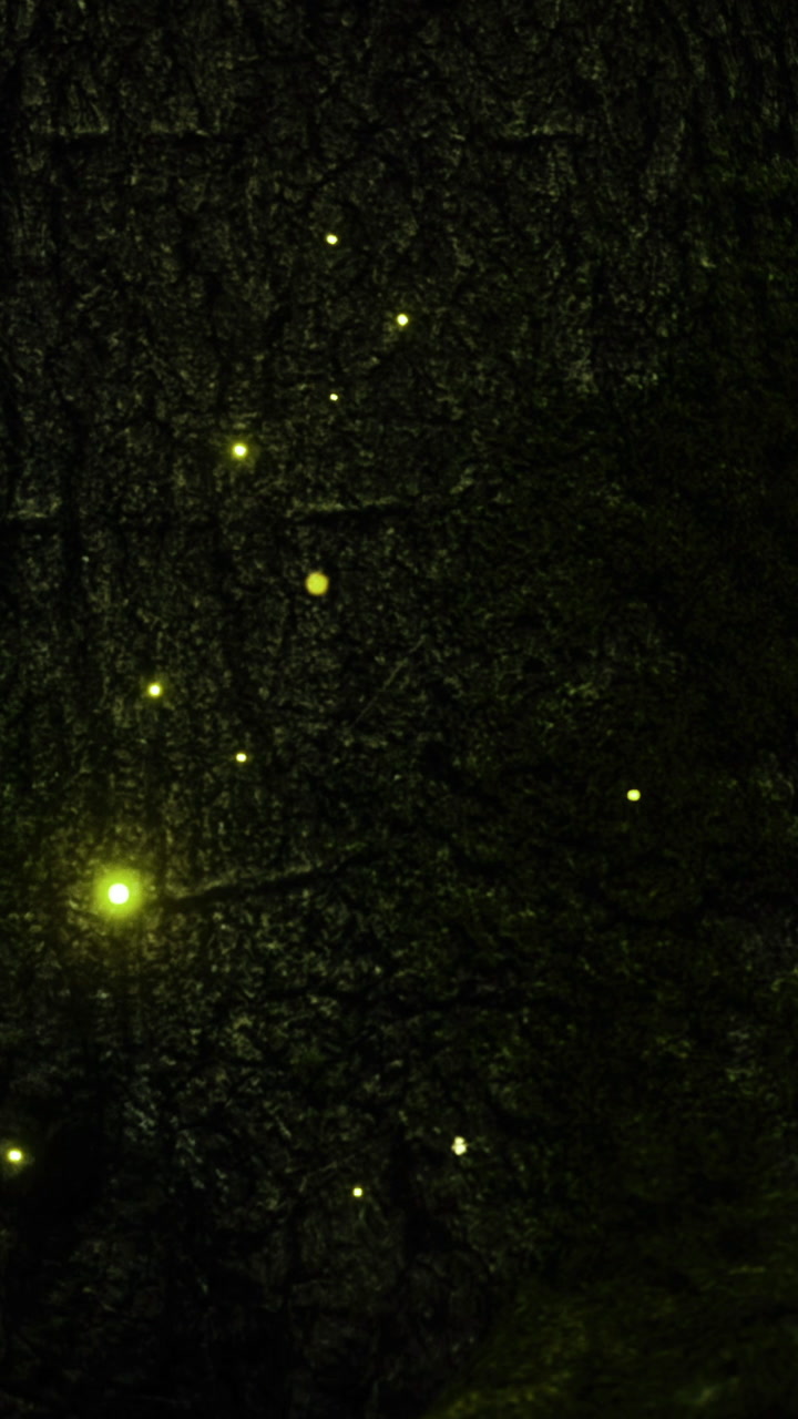 Enchanting glow of fireflies lighting up the forest at dusk