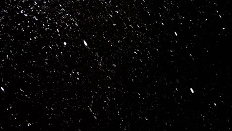 las moscas de nieve rápidas