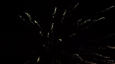 fireworks-in-the-sky-night-new-year-and-christmas