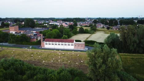 Ciudad-Rural-En-Bélgica-Y-Rebaño-De-Ovejas,-Vista-Aérea