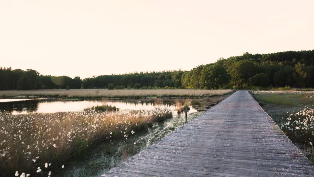 puente de madera sobre un pantano al atardecer