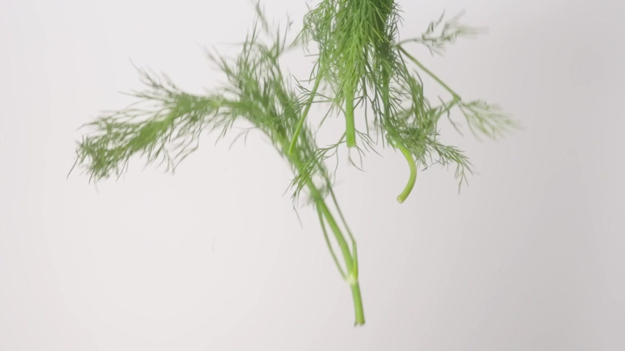 Tuoretta aromaattista tilliä sataa alas valkoista taustaa vasten hidastettuna makrolähikuvana.