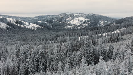 the silent majesty of kootenay's wilderness