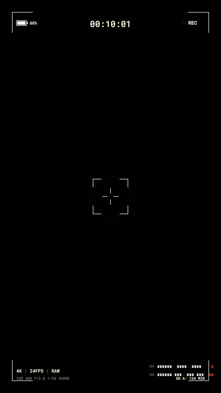 Digital Camera Viewfinder Overlay with Recording Interface
