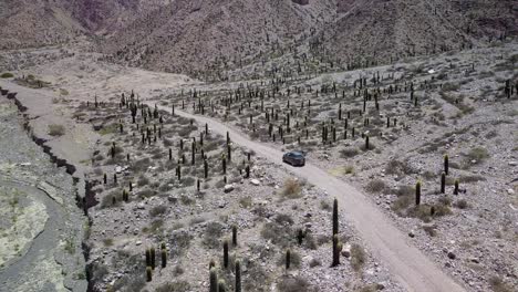 paisaje desértico del noroeste de argentina
