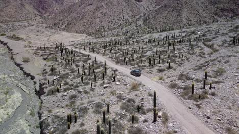 desert landscape of northwestern argentina