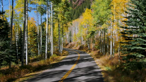 Independence-Pass-Golden-aspen-tree-forest-grove-road-fall-autumn-yellow-green-colors-aerial-drone-cinematic-late-afternoon-Snowmass-Mountain-Vail-Telluride-Ashcroft-afternoon-sunny-forward-motion