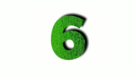 Number-6-six-Animation-motion-graphics-with-green-grass-texture-on-white-background-for-video-elements-natural-concept-numbers