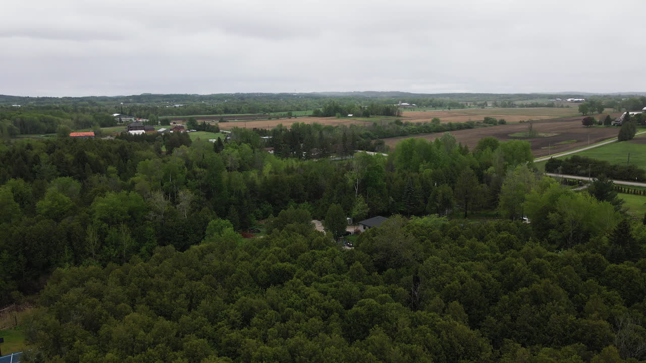 Schomberg Dense Forest In The Countryside In The Early Morning In Ontario, Canada. - aerial pullback shot