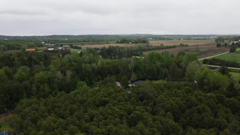 schomberg dense forest in the countryside in the early morning in ontario, canada. - aerial pullback shot