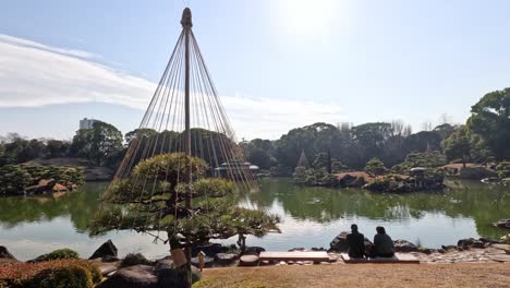 peaceful garden scene with changing sunlight