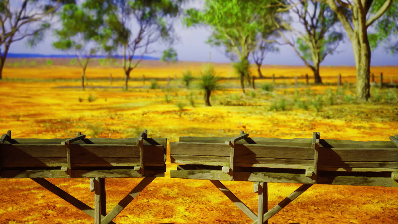 Vibrant landscape showcasing rustic wooden troughs under bright sunlight