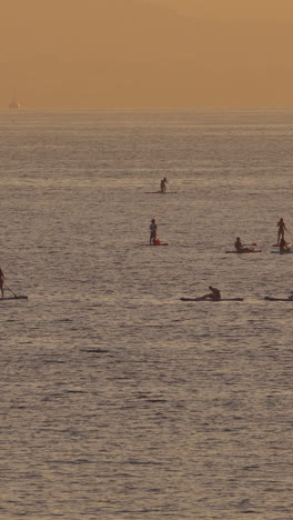 people in shadow paddle surfing in barcelona in the early morning in vertical