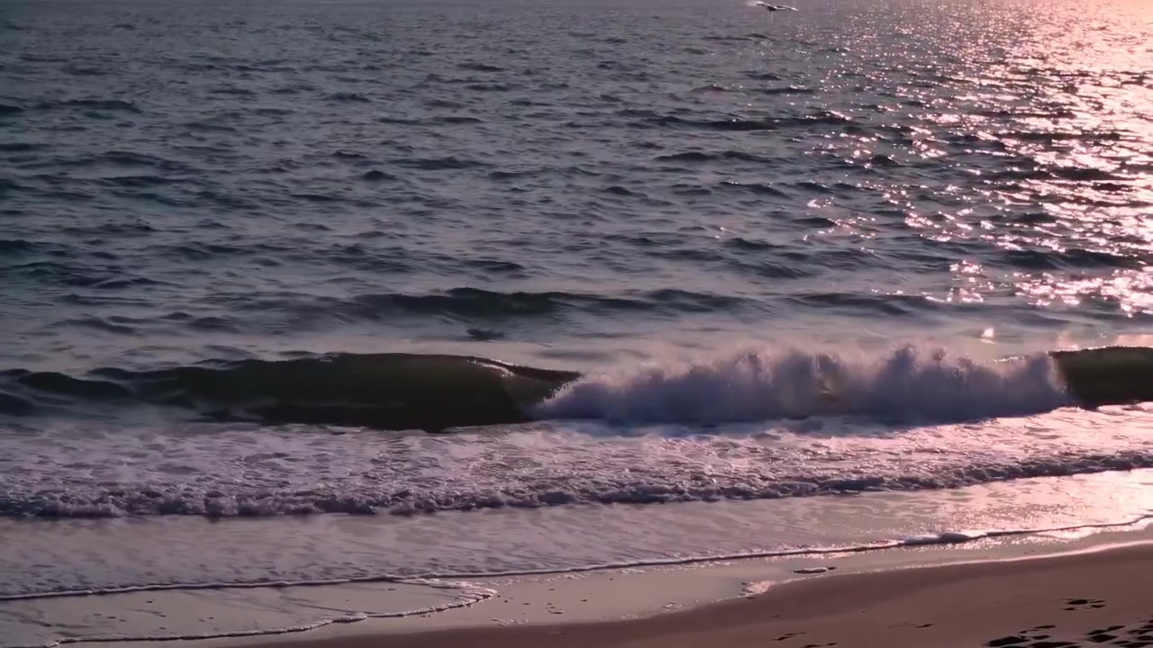 Gabbiani che volano sopra le onde dell'oceano durante il tramonto