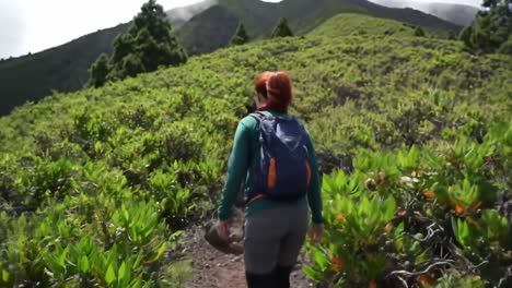 a hiker explores a vibrant trail surrounded by greenery in the mountains under clear blue skies. the lush landscape provides a perfect backdrop for outdoor adventure and tranquility.