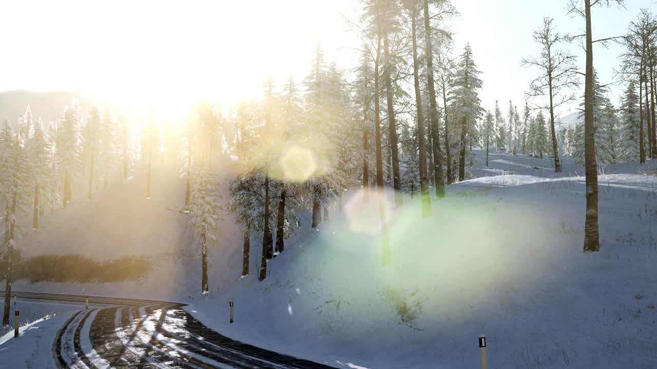 겨울 숲 위의 비행