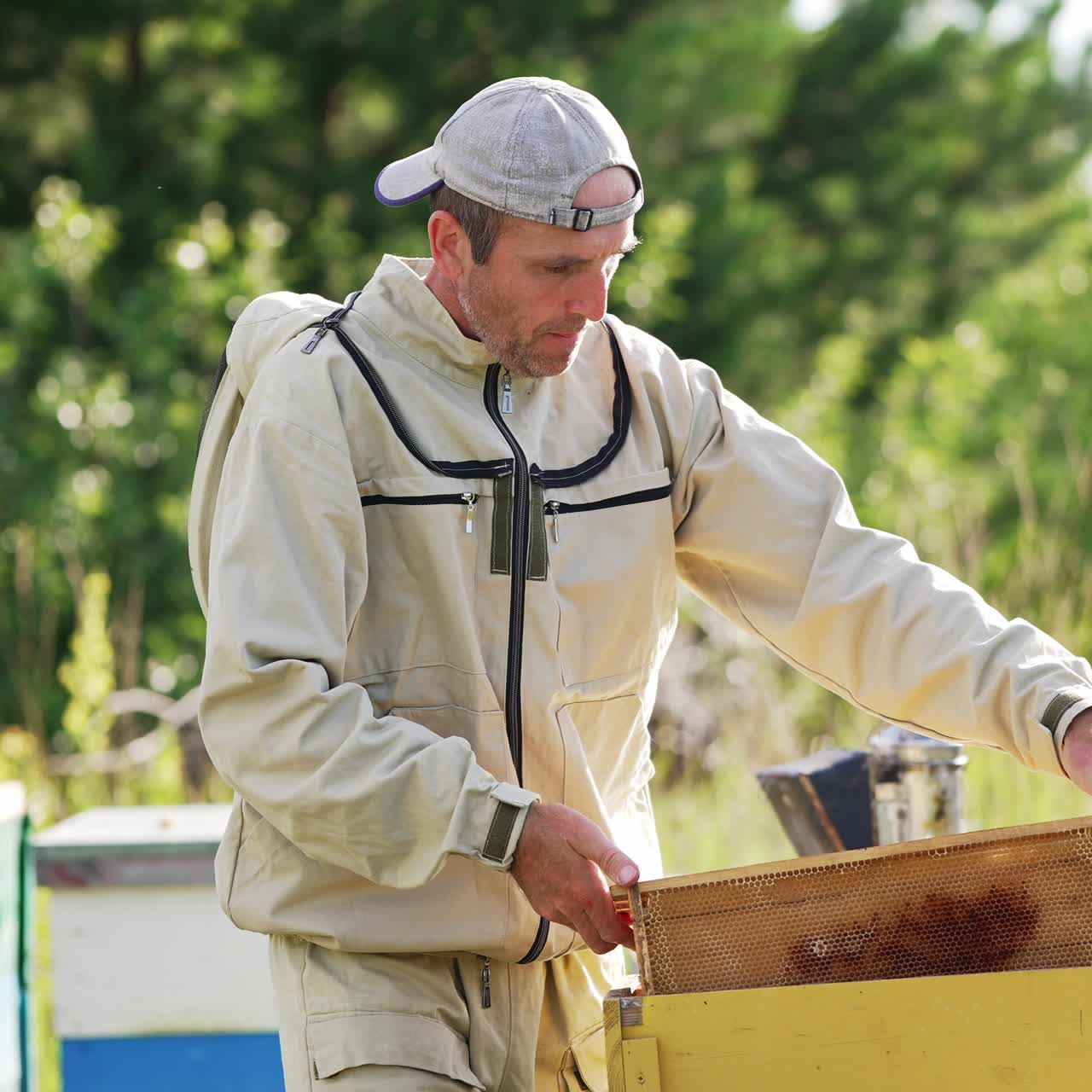 Uomo di mezza età con la barba che lavora in un allevamento di api. L'apicoltore inserisce i telai in una scatola di legno. Natura sullo sfondo in modalità sfocata