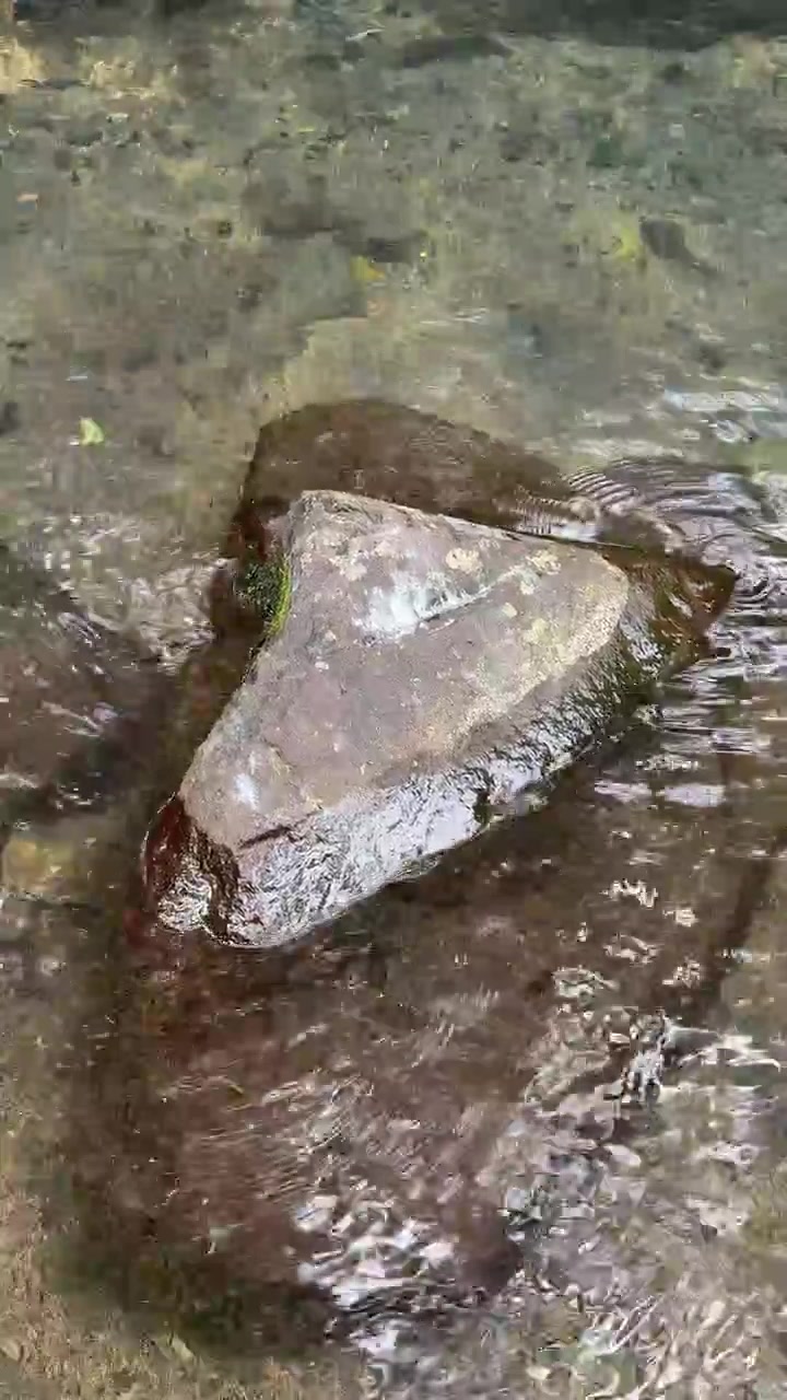 Acqua limpida che scorre su un sasso di fiume liscio