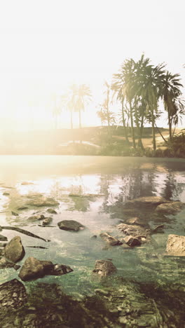 serene oasis at sunset with gentle water flowing through lush greenery