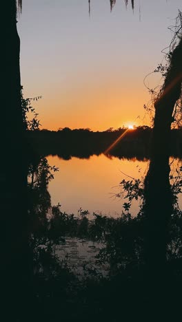 sunset over a lake, framed by trees