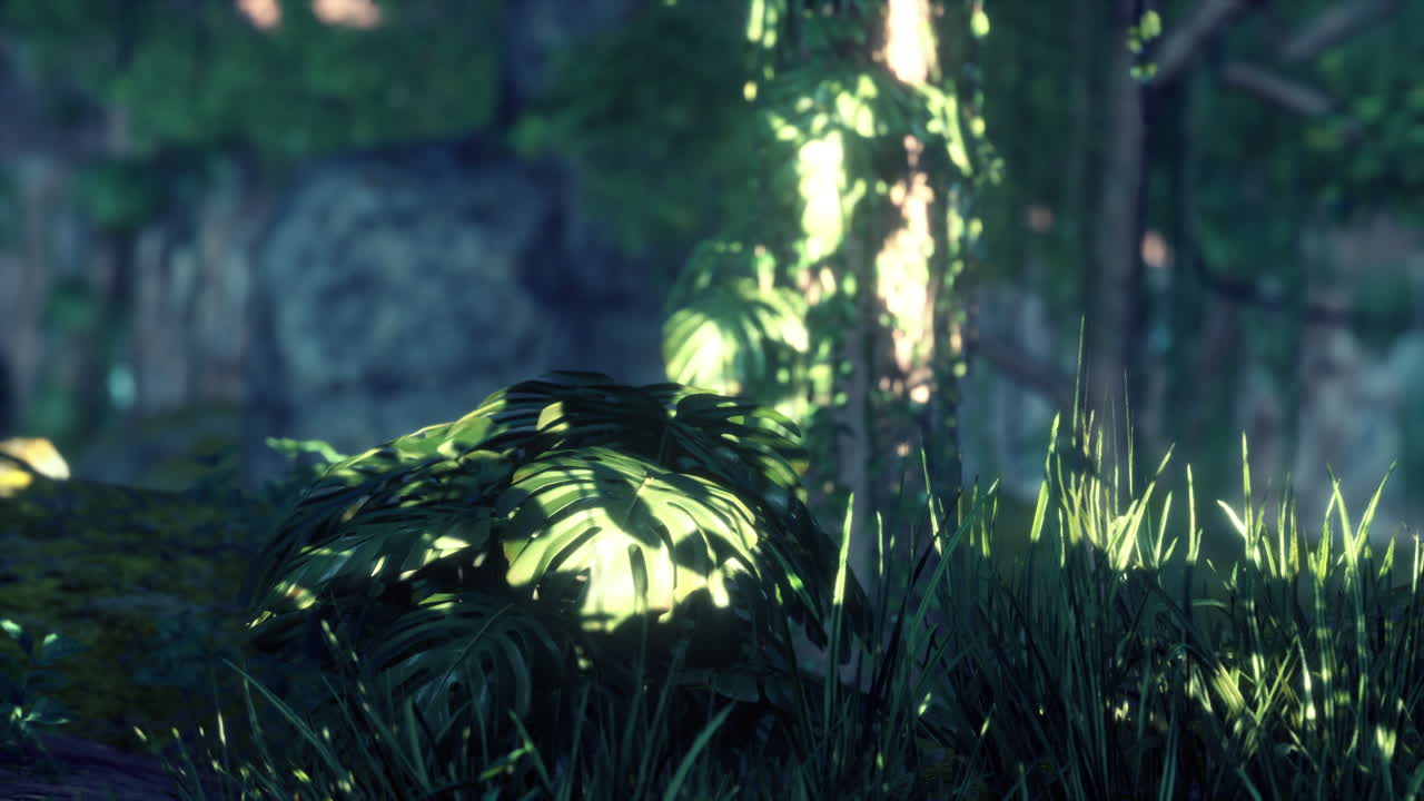 아름다운 정글 정원에서 아침 빛