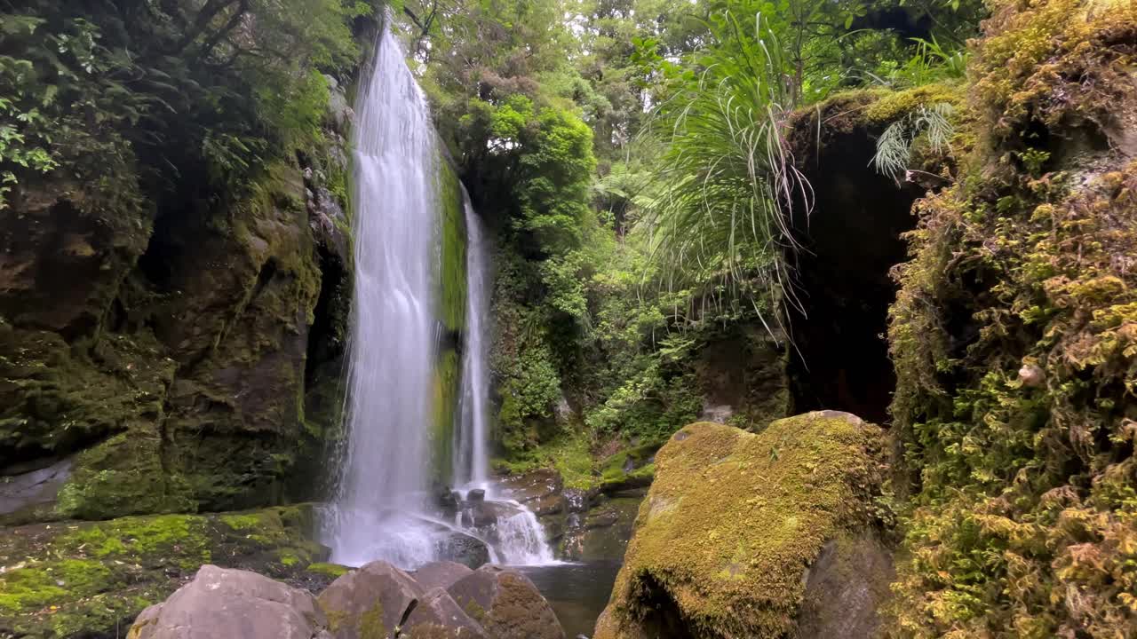 revela el tiro de la roca de musgo a la cascada en el bosque verde exuberante, las cataratas de korokoro, nueva zelanda