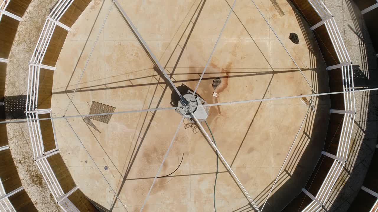 tiro aéreo por encima de animales que caminan en un exterior circular. cerca redonda de círculo para caballos sementales animales de entrenamiento ecuestre en un patio de rancho en el campo durante el día.