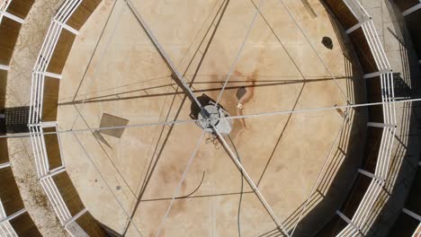 aerial shot above walking animals in a circular outdoor. circle round fence for horse stallion equestrian training animal in a ranch yard at countryside daytime.