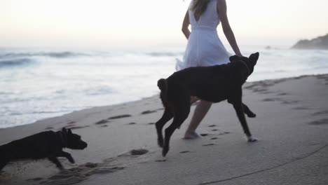 slow motion handheld shot of a young woman dressed in a white dress playing with her dogs on the beach in front of the sea with calm waves in the evening