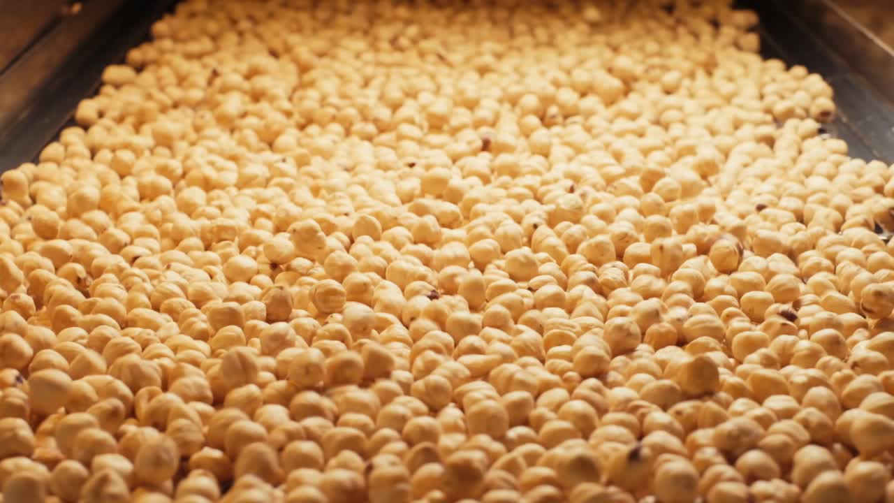 헤이즐넛 가공 공장