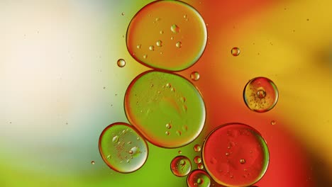 abstract colorful food oil drops bubbles and spheres flowing