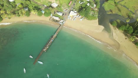 ascending aerial view of a jetty with waves crashing on the shoreline in the fishing village of palatuvier, tobago