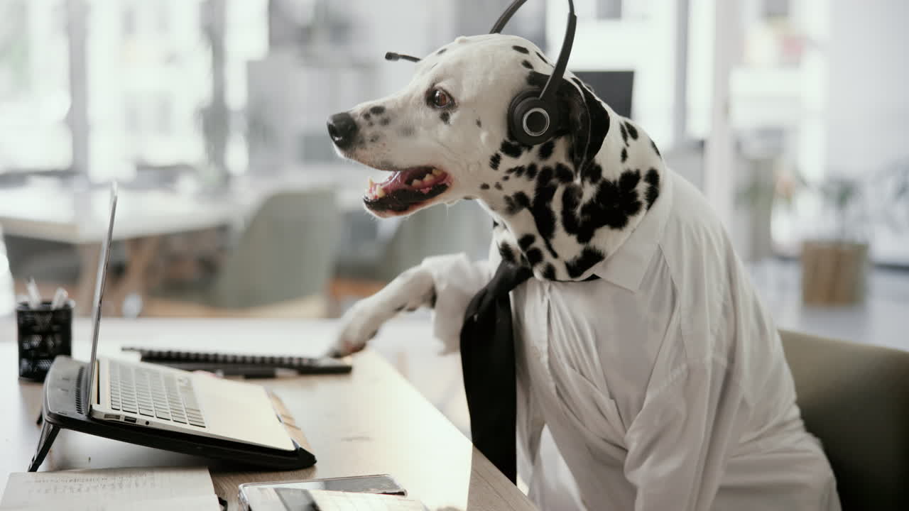 A dalmatian dog wearing a headset and tie working at a desk in an office