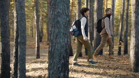 pareja de senderismo en el bosque de otoño