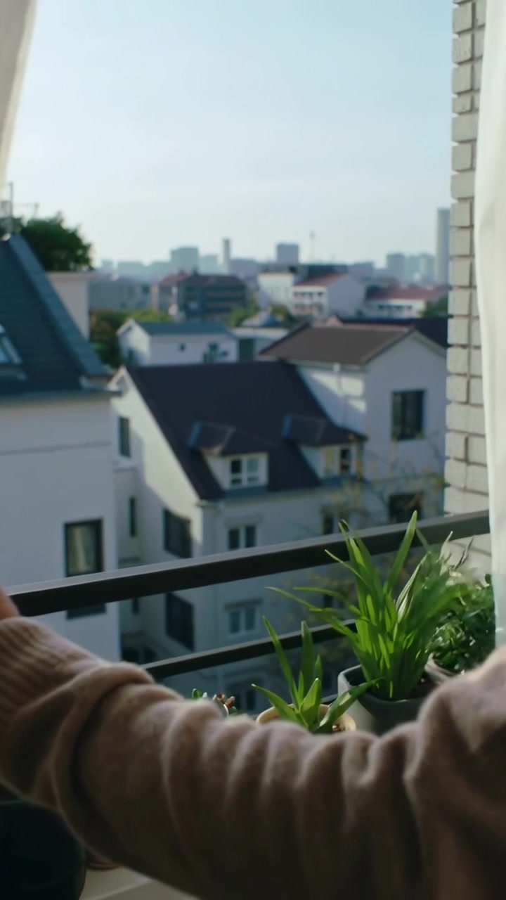 Video verticale: Luce solare che illumina mani con maglione beige che scostano una tenda a casa, controllando le piante.