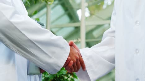 men shaking hands in greenhouse