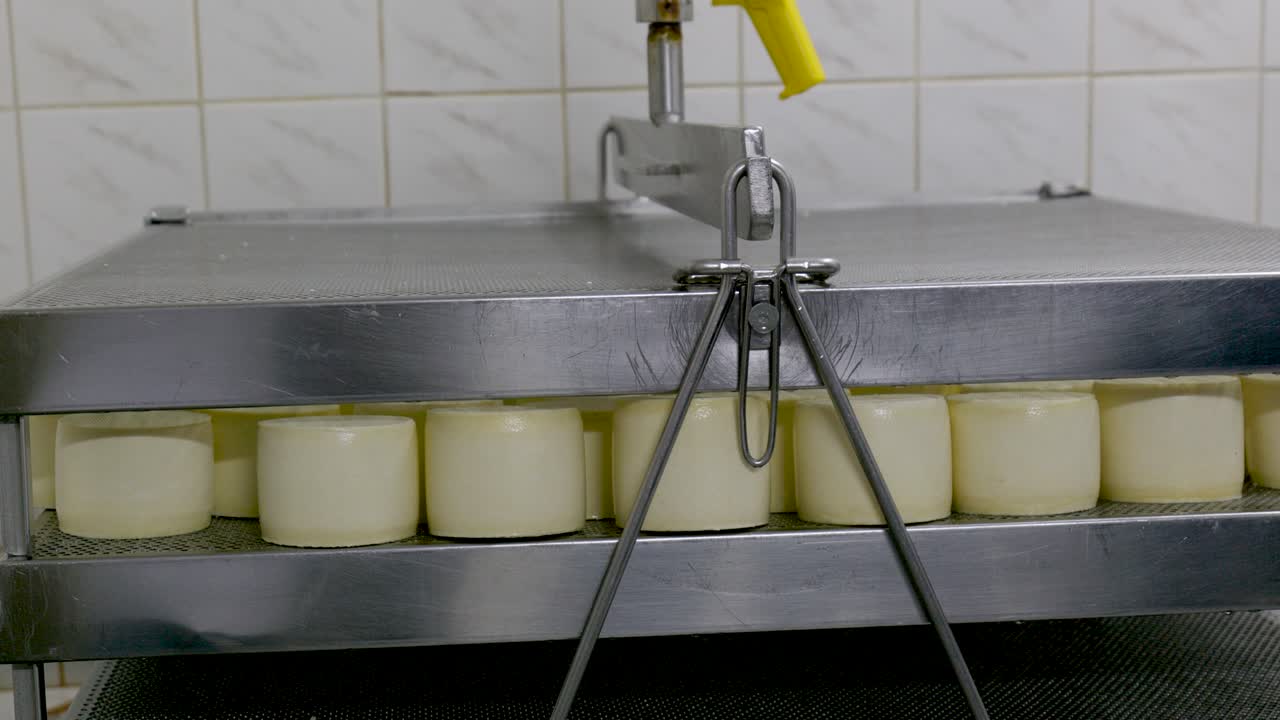 The process of making cheese in a private cheese factory.