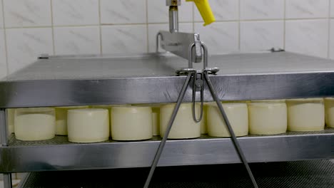 the process of making cheese in a private cheese factory.