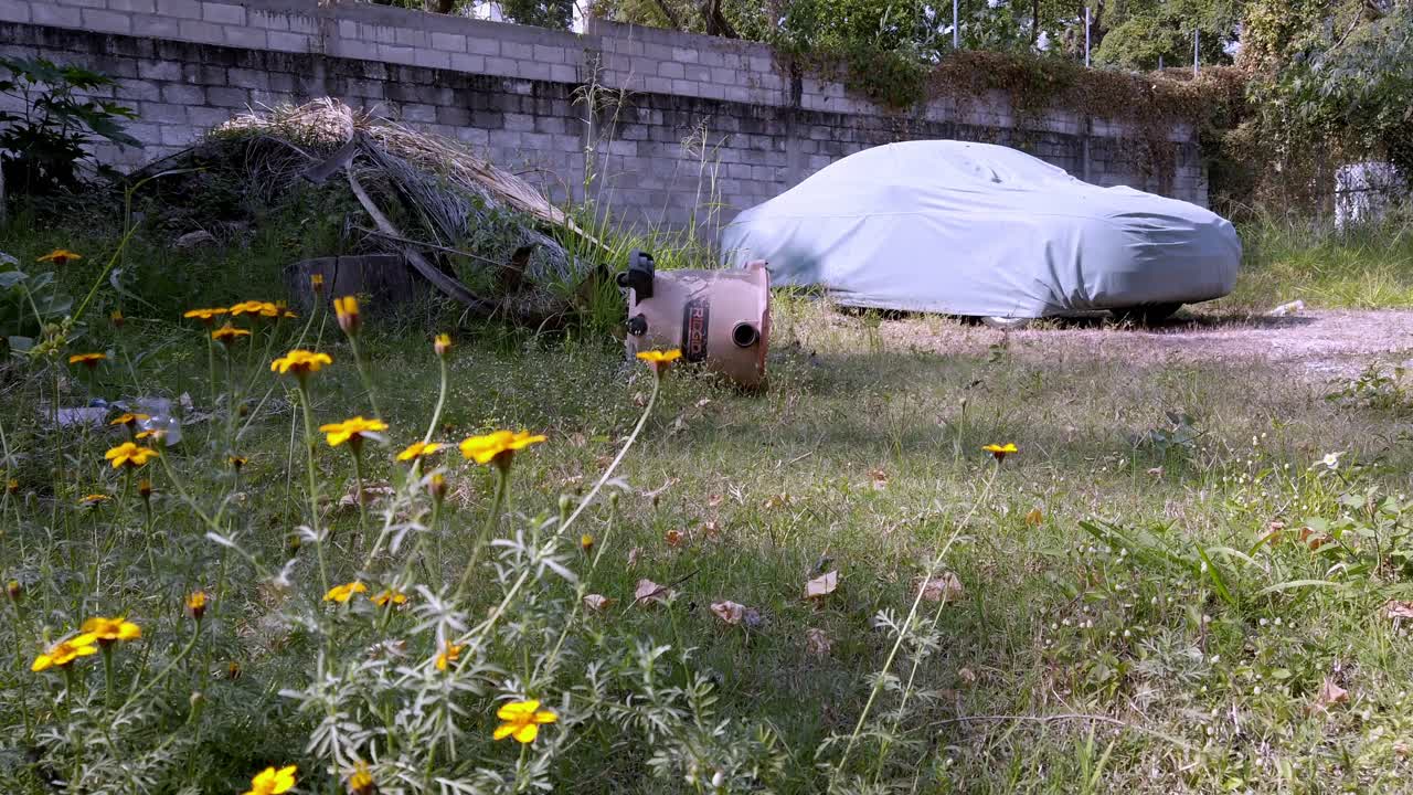 Abandoned garden with flowers and a car under cover, serene and quiet