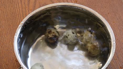 stainless steel sauce pot full of clear water and raw quail eggs ready to cook boiling