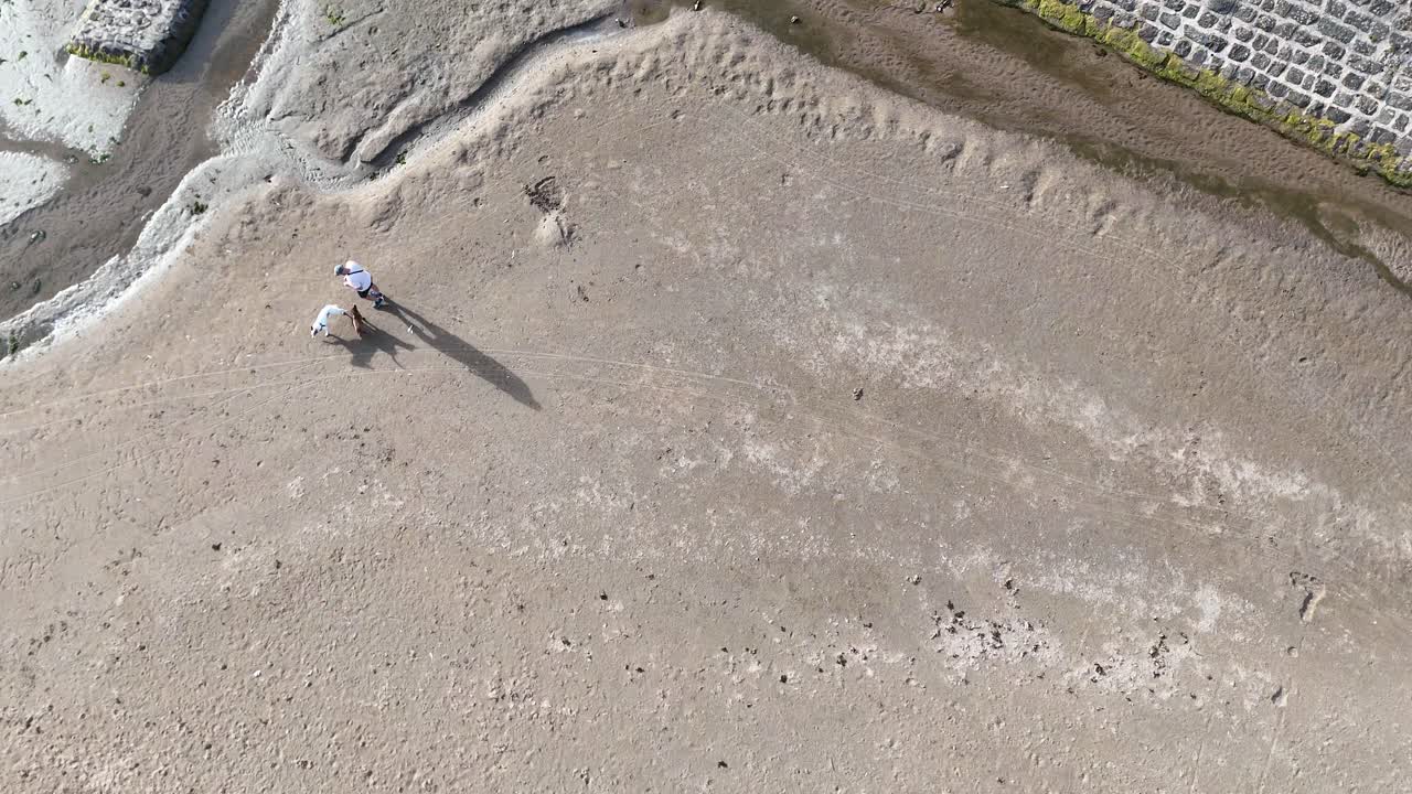 Aerial view of a man and dog walking on a sunlit sandy beach near stone sea defenses in St Andrews, Scotland, with long shadows and gentle movement
