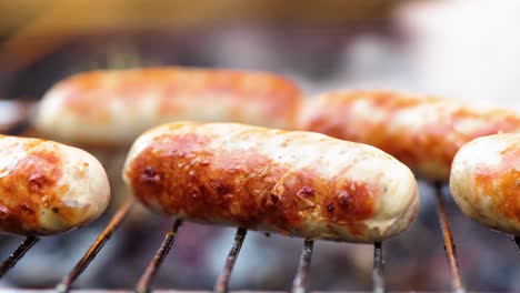 delicious juicy sausages, cooked on the grill with a fire