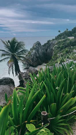 tropical beach scenery with mayan ruins