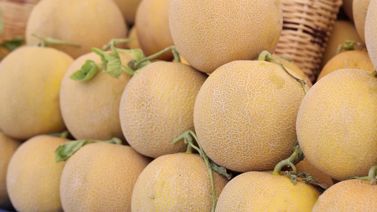 Pile of Fresh and Ripe Melons