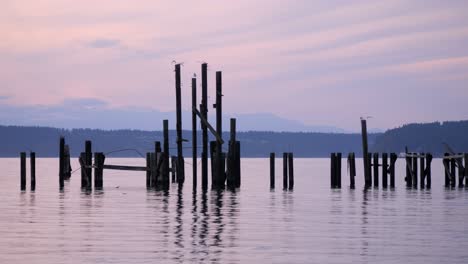 el sol se pone sobre el sur de puget sound y un viejo muelle