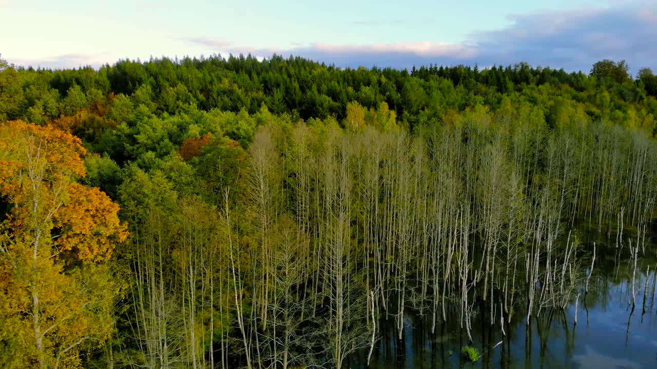 imágenes aéreas en el estanque en otoño, árboles sin hojas, tallos calvos de árboles, paisaje colorido alrededor, hermosa puesta de sol, warmia y masuria, polonia
