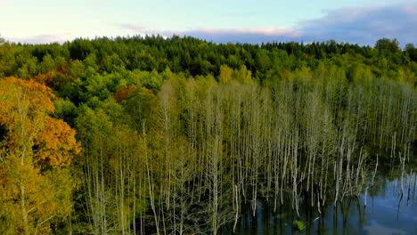 Aerial-footage-at-the-pond-in-autumn,-trees-without-leaves,-bald-stems-of-trees,-colorful-landscape-around,-beautiful-sunset,-warmia-and-masuria,-Poland