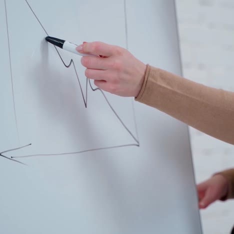 businesswoman working with board