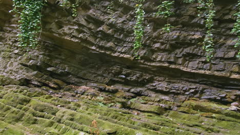 layered rock face with moss and ivy