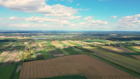aerial view with the landscape geometry texture of a lot of agriculture fields with different plants like rapeseed in blooming season and green wheat